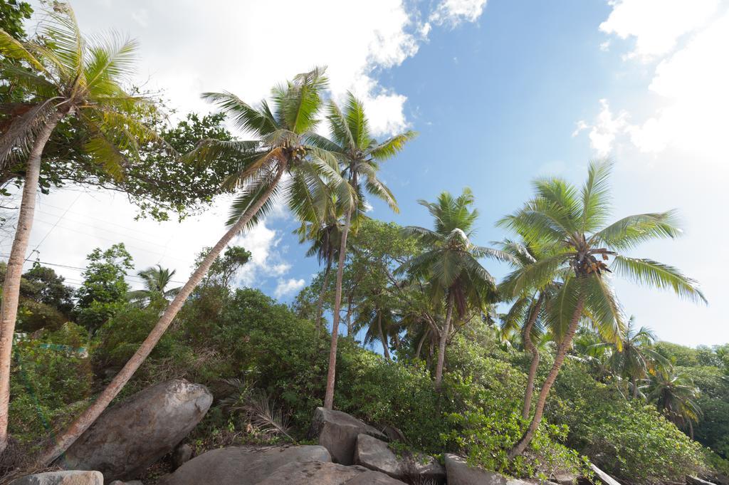 Villa Bel Age Anse Royale Kültér fotó